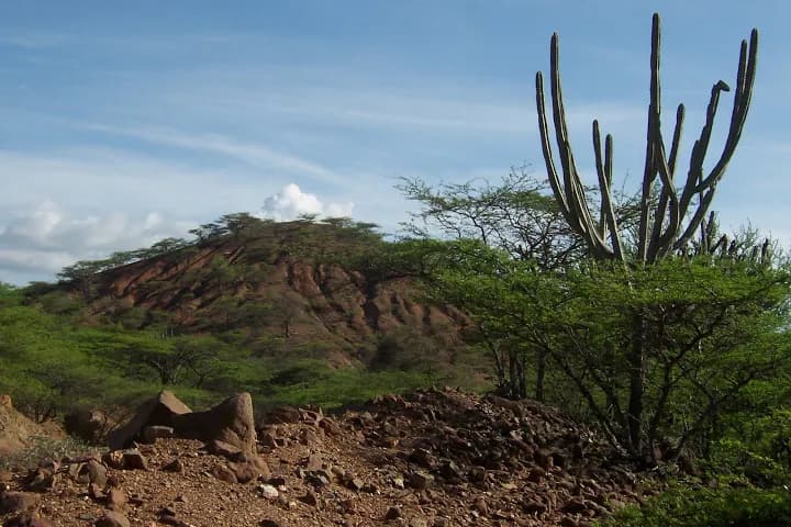 PARQUE NACIONAL CERRO SAROCHE